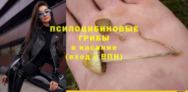 сатива Елабуга