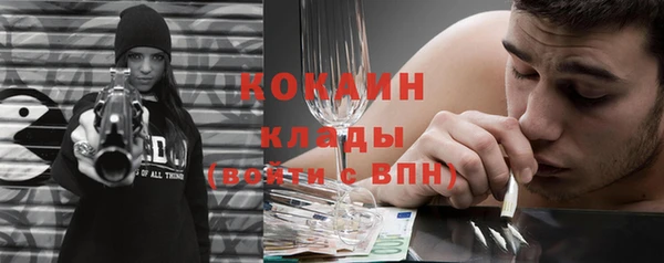 молекула духа Ельня