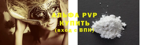 молекула духа Ельня
