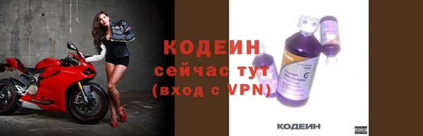 молекула духа Ельня