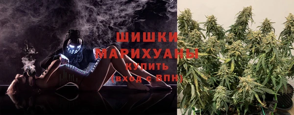 молекула духа Ельня