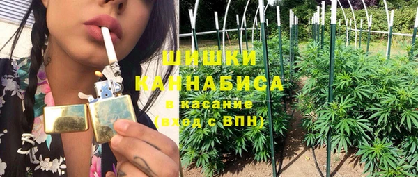 сатива Елабуга