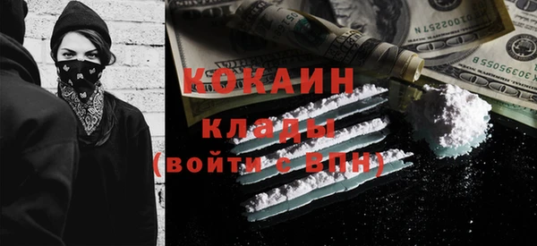 молекула духа Ельня