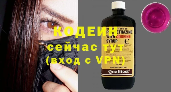 молекула духа Ельня