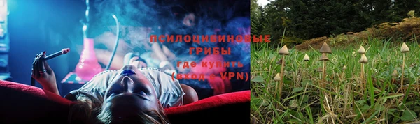 ГАЛЛЮЦИНОГЕННЫЕ ГРИБЫ Елизово