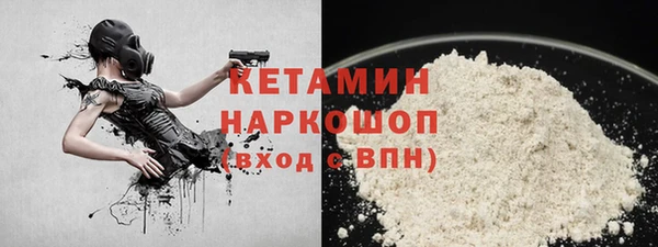 молекула духа Ельня