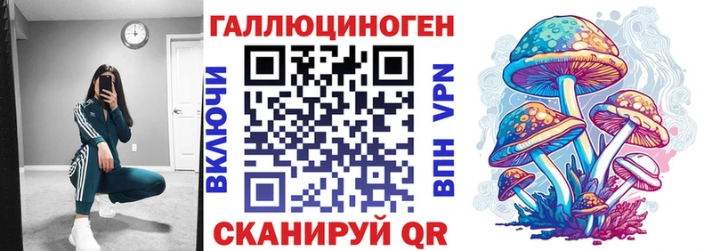 Купить  Белёв  Псилоцибиновые грибы Cubensis 